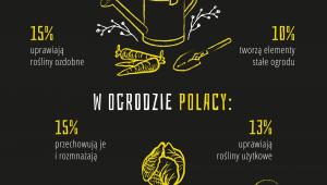 Jak majsterkują Polacy
